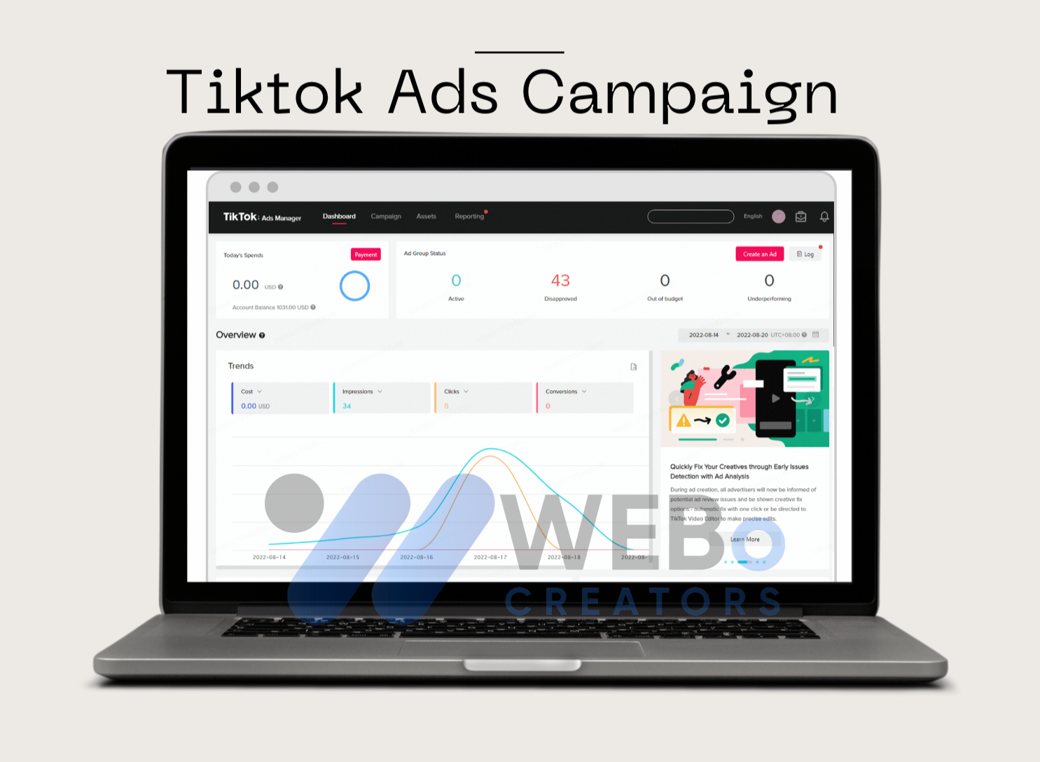TikTok PPC Campaign